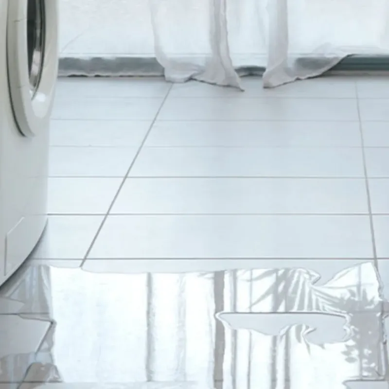 Appliance Leak Cleanup in Carrollton, VA
