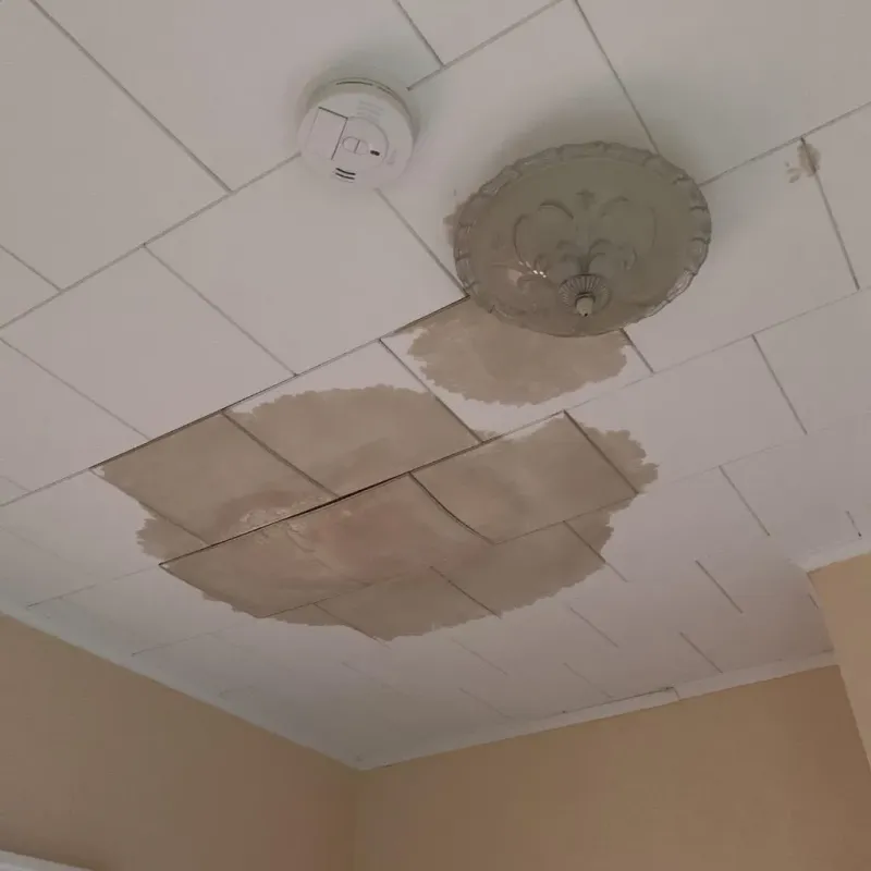 Ceiling Water Damage Repair in Carrollton, VA