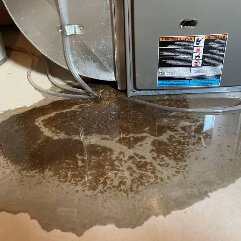 Pipe Burst and Leak Restoration in Carrollton, VA