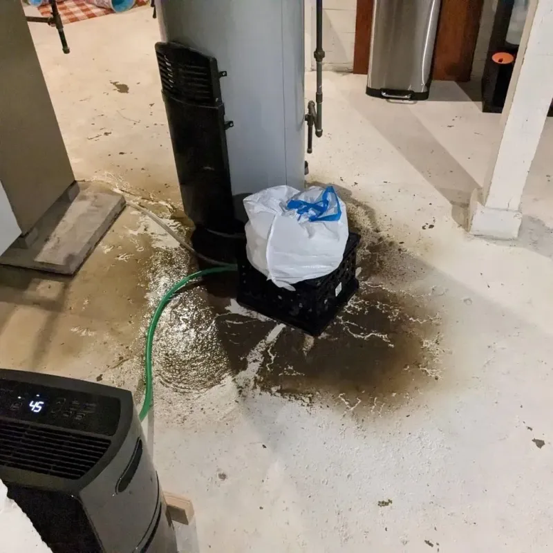Sewage Backup Cleanup Service in Carrollton, VA